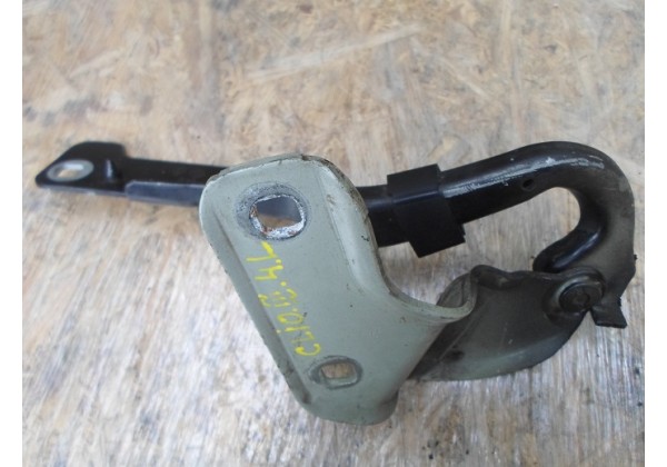Петля капота права Renault Clio III, 2005-2012, 8200307817 *